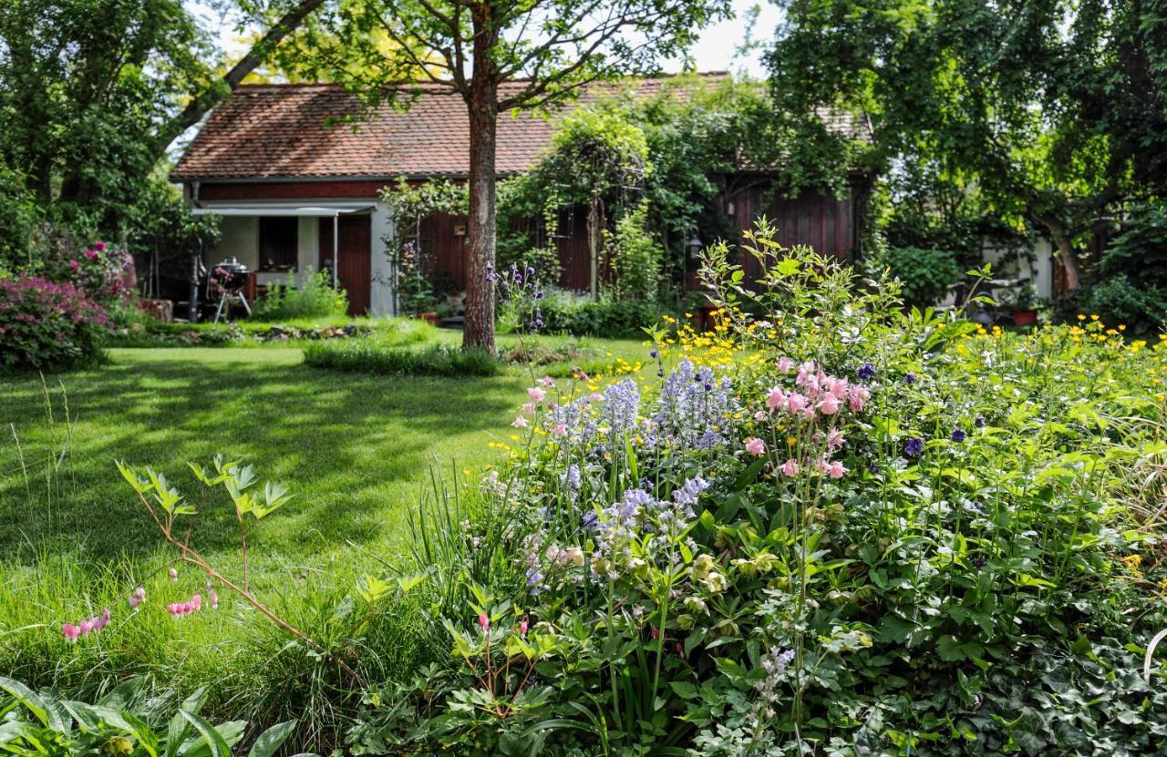 Ferienhaus Burgblick Munzenberg Ngoại thất bức ảnh