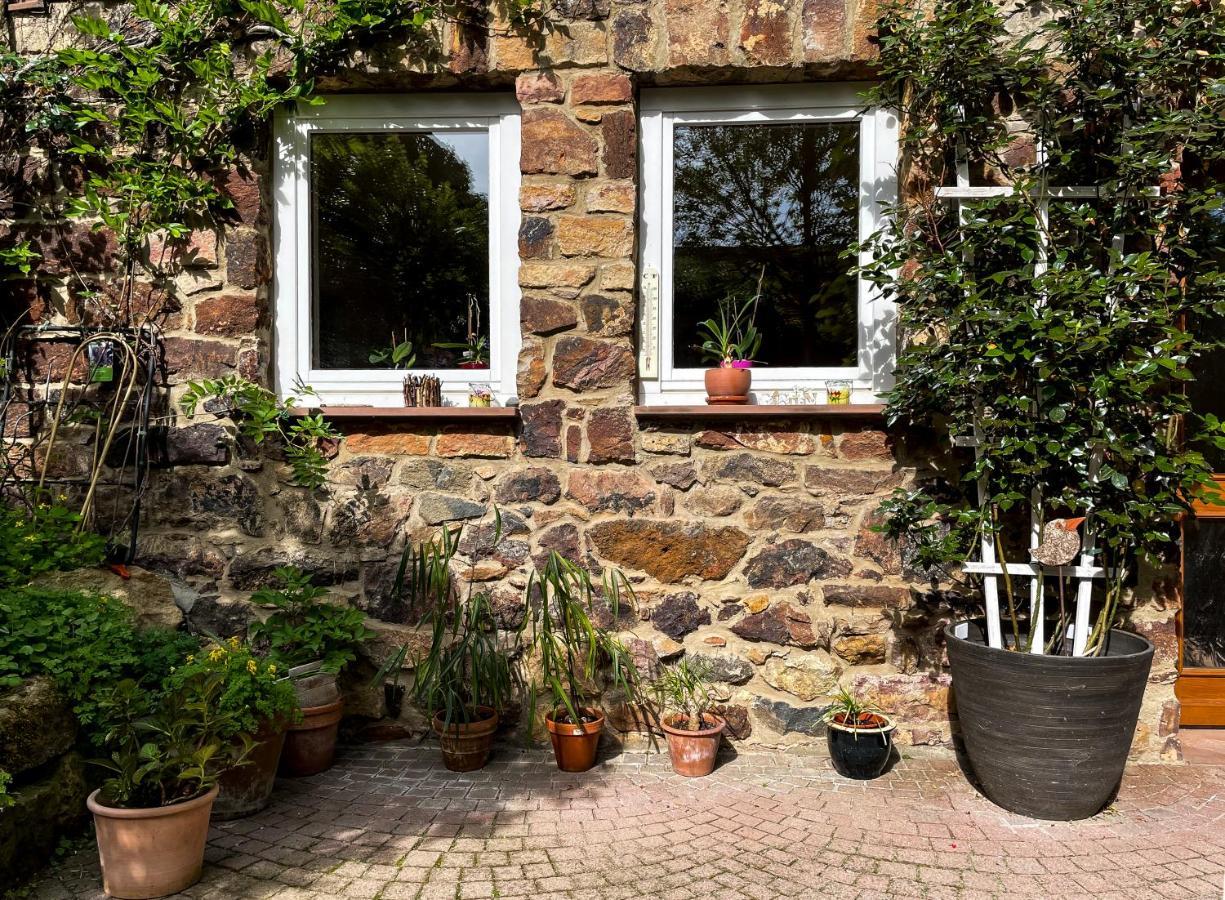 Ferienhaus Burgblick Munzenberg Ngoại thất bức ảnh